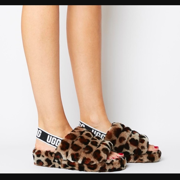 fluff yeah leopard